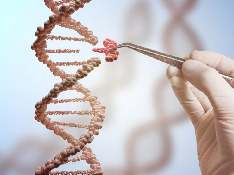 Harmful genetic mutations may be less common than we thought